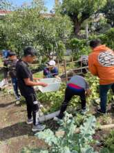 Students collecting a bounty before cooking class