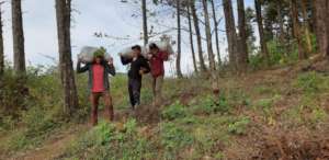 Collecting mountain dirt