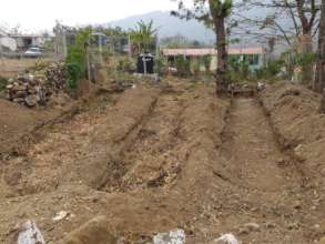 Layers the new beds with leaves, compost etc