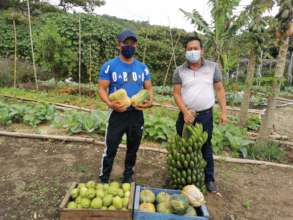 Bountiful harvest sold to purchase  supplies