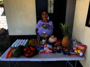 Helping another organization to deliver food