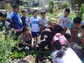 Checking out the roots of plants