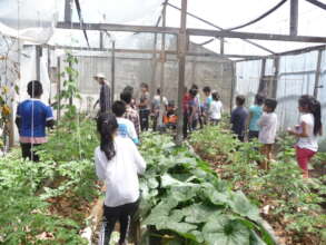 Touring the school greenhouse