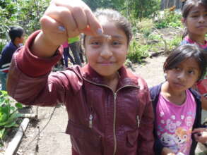 learning about garden bugs