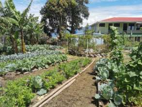 The main organic garden