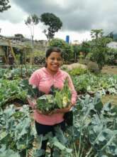 A bountiful organic harvest