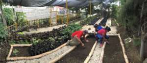 Student volunteers in the nursery