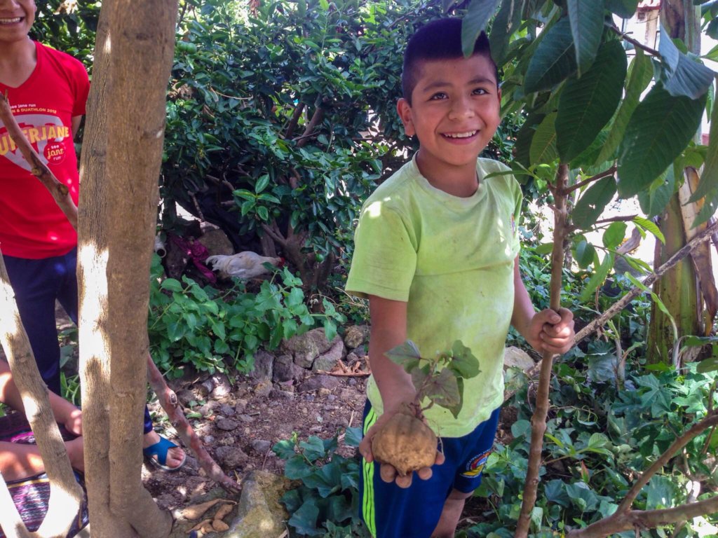 Fight Malnutrition in Rural Guatemala