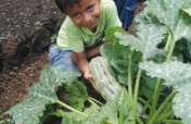 Fight Malnutrition in Rural Guatemala
