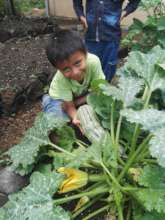 Fight Malnutrition in Rural Guatemala