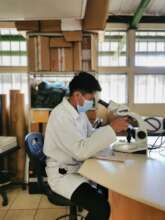 Identifying microorganisms in the soil