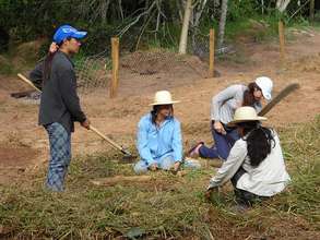 Practical classes in the nature