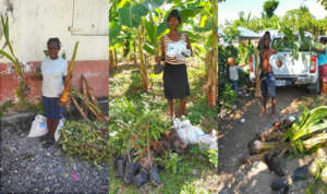 LFBS farmers with SPI seed (Estelle is left)