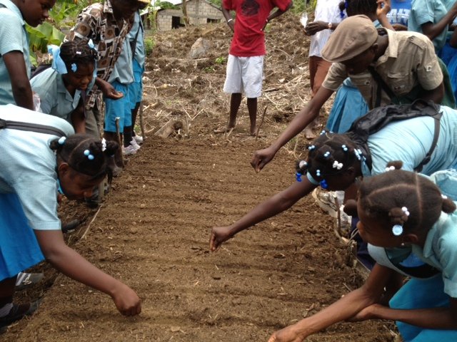 Revive 1000 Haiti Gardens After Hurricane Matthew