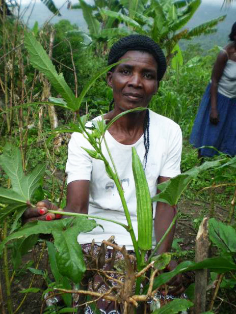 Revive 1000 Haiti Gardens After Hurricane Matthew