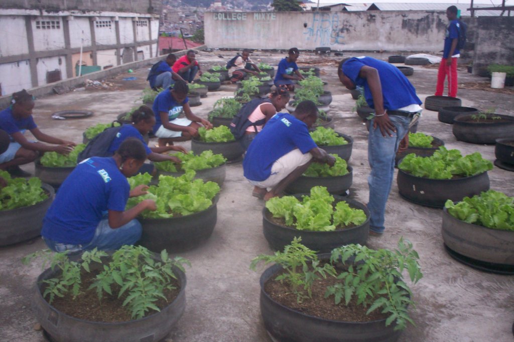 Revive 1000 Haiti Gardens After Hurricane Matthew
