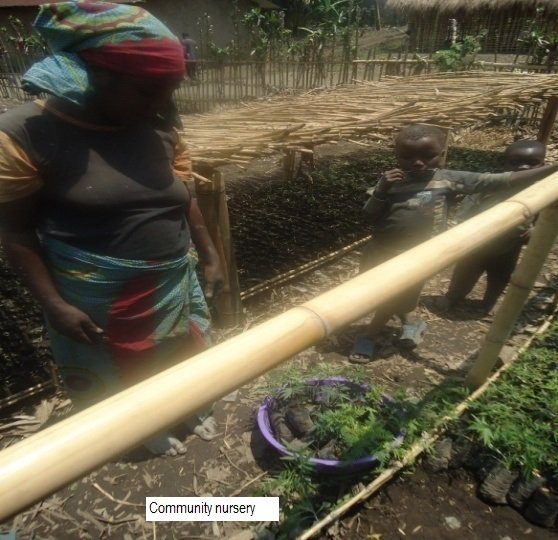Make Kyabondo Livable Village for 3768 People