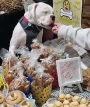Tater, WHBR mascot hard at work raising funds