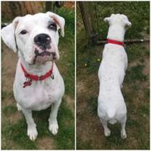 Darla today- your help is why we can do this