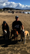The Hoffers and their hounds