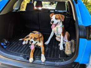 Apollo and Hercules (bros on a play day meet up)