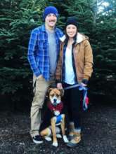 Apollo on his first Christmas tree hunt