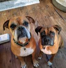 Bentley and Georgia Anne