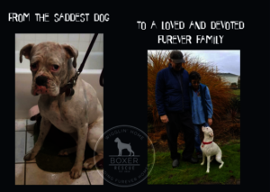 Gracie Mae and her new family