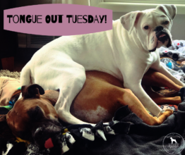 Bunny and her brother