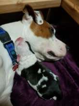 Yuki and first born