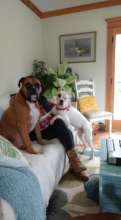 Brad today with his foster sib