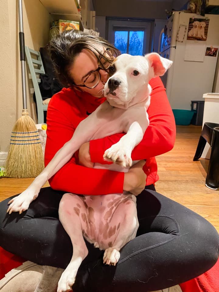 Christmas morning, with forever foster Tobi