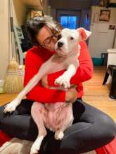 Christmas morning, with forever foster Tobi