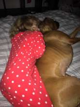 THIS is the end result of a furever home