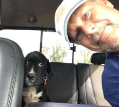 Annie after her freedom flight, with foster pawpaw