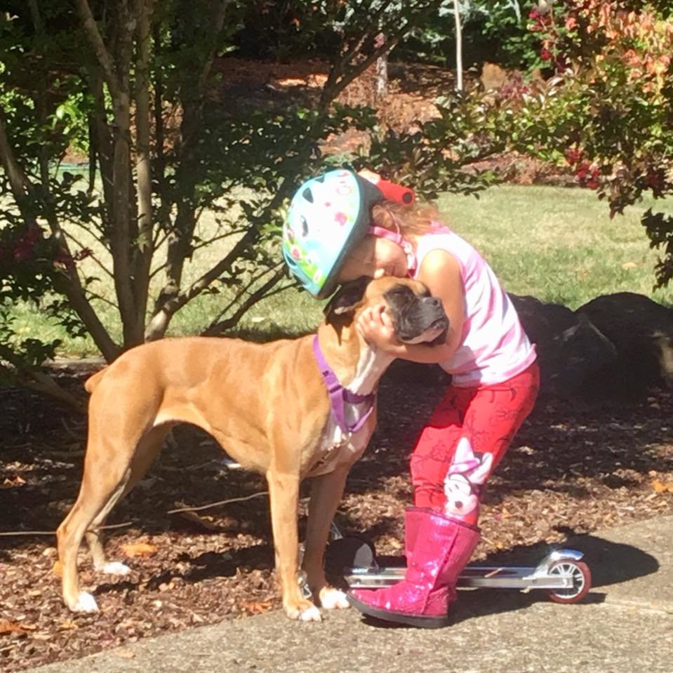 Wigglin' Home Boxer Rescue