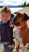 Carter, now MARVEL, with is furever little buddy