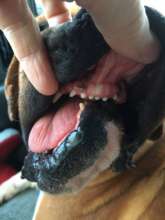 Carter healed broken jaw from shotgun blast