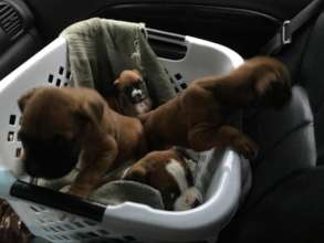 Eenie already thinks her brothers are clowns