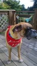 Woody today, looking for the love of his life