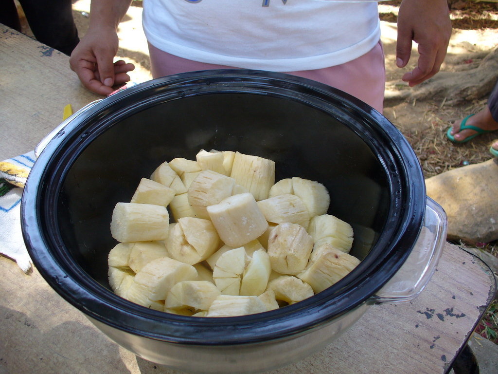 Solar Cooking to Help Women Affected by War