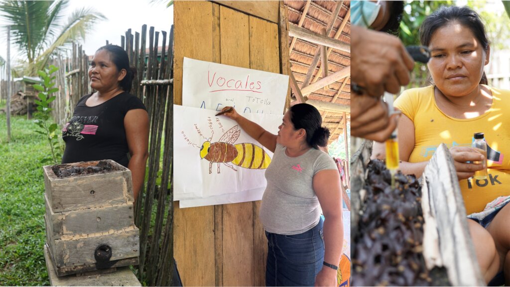 Magnolia harvesting, teaching, and tending