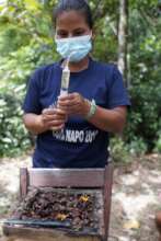 The association is independently harvesting honey