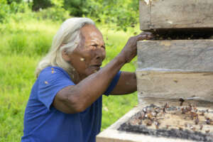 Beekeeper working her hives. Photo by E. Redondo.