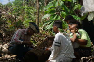 Family Harvesting Honey