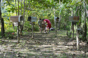 Husband and wife beekeeping. Photo by E. Redondo.