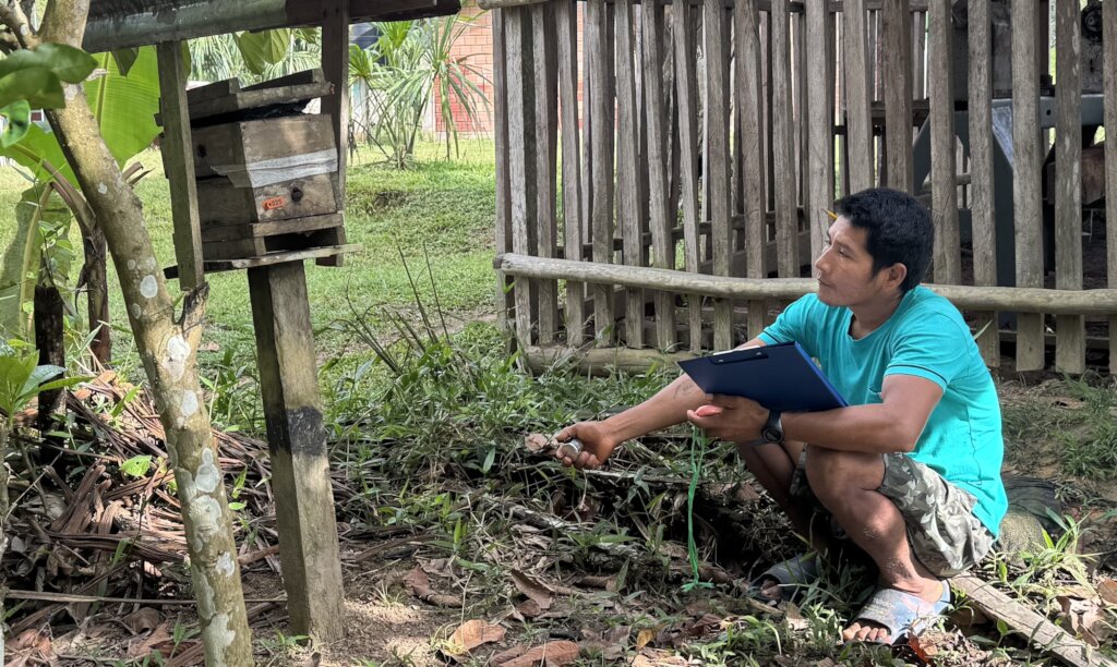 Always studying the bees