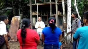 Learning from other stingless beekeepers