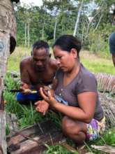 Melba Demonstrating Proper Beekeeping Techniques