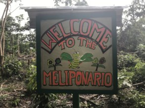 Meliponario Sign Made by Duglas